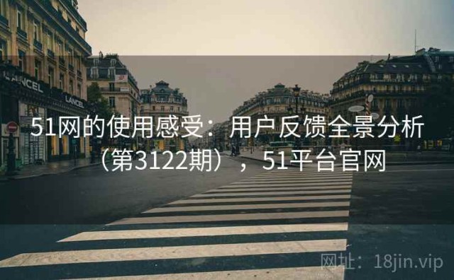 51网的使用感受：用户反馈全景分析（第3122期），51平台官网