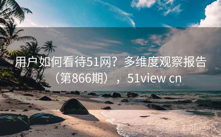 用户如何看待51网？多维度观察报告（第866期），51view cn
