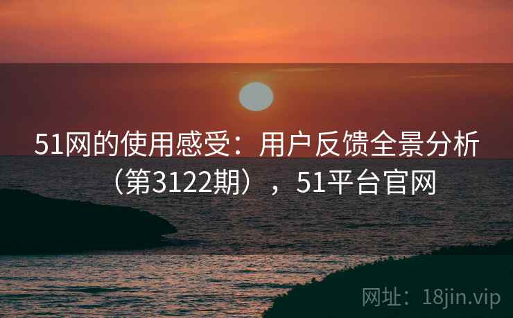 51网的使用感受：用户反馈全景分析（第3122期），51平台官网