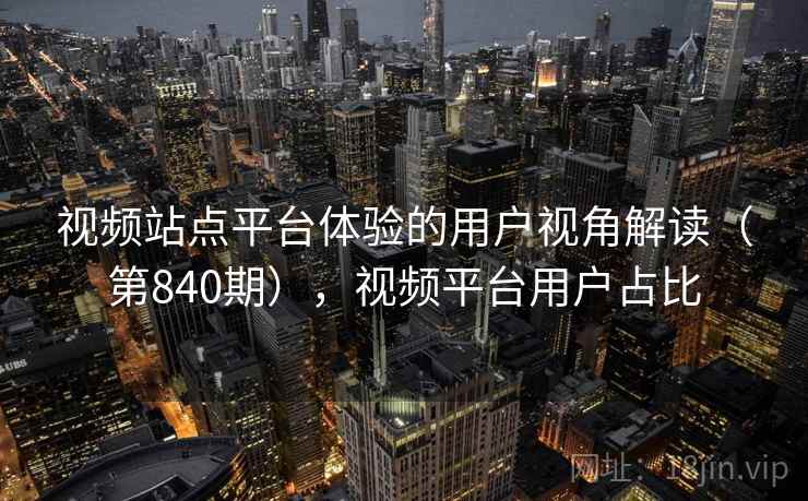视频站点平台体验的用户视角解读（第840期），视频平台用户占比