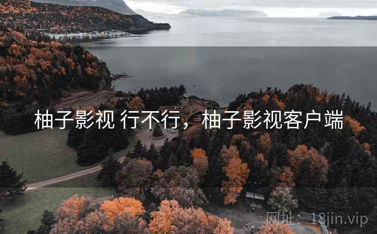 柚子影视 行不行，柚子影视客户端