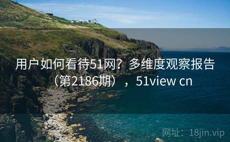 用户如何看待51网？多维度观察报告（第2186期），51view cn