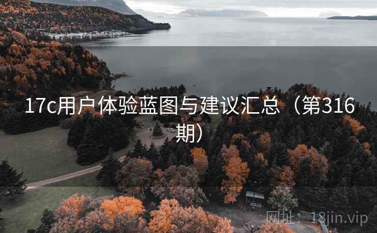 17c用户体验蓝图与建议汇总(第316期) 17c用户体验蓝图与建议汇总(第316期)
